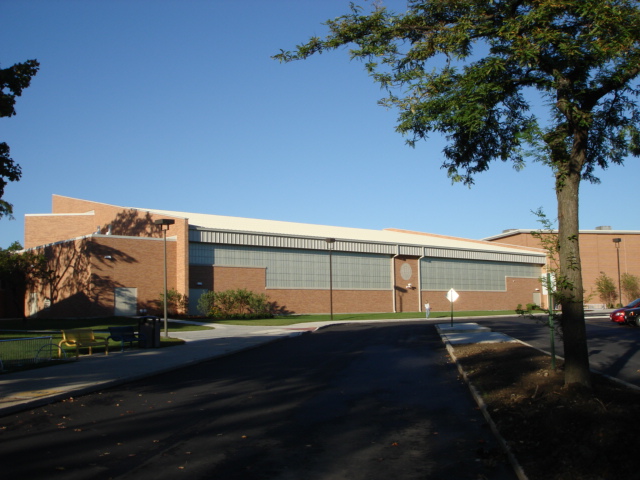 lyons township high school obituary